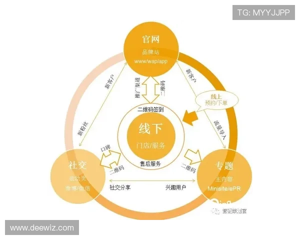 深度分析上海网球队的运营策略与市场推广模式