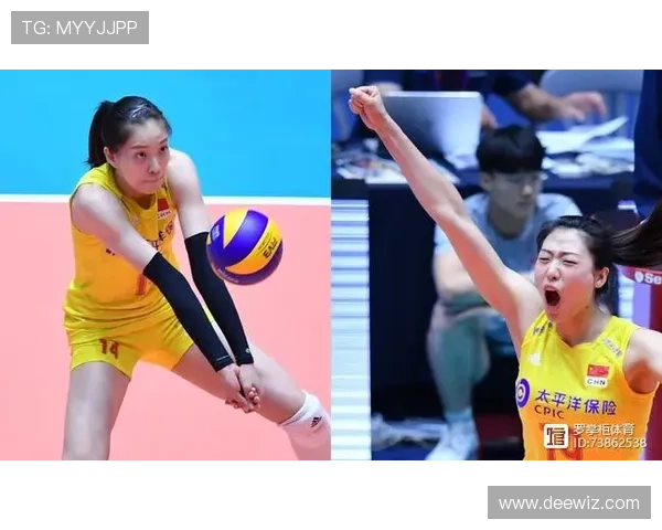 杭州排球队个人能力引发热议球员表现与团队配合的深度探讨