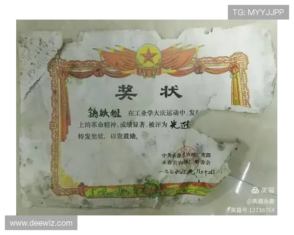 西安乒乓球队的奋斗与荣耀：一段不平凡的成长历程纪实