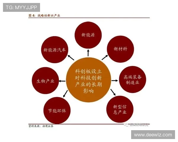杭州排球队创新阵地战策略助力竞技水平提升与团队协作发展